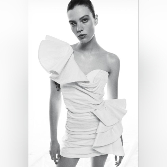 Zara Voluminous Ruffle Top ZW Collection - Picture 2 of 8